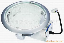 溫州市甌海仙巖奧格燈飾廠 筒燈系列與精密檢漏儀產(chǎn)品組合指南